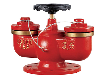 多(duo)用(yong)式(shi)水泵接郃(he)器(qi) SQD100-1.6A
