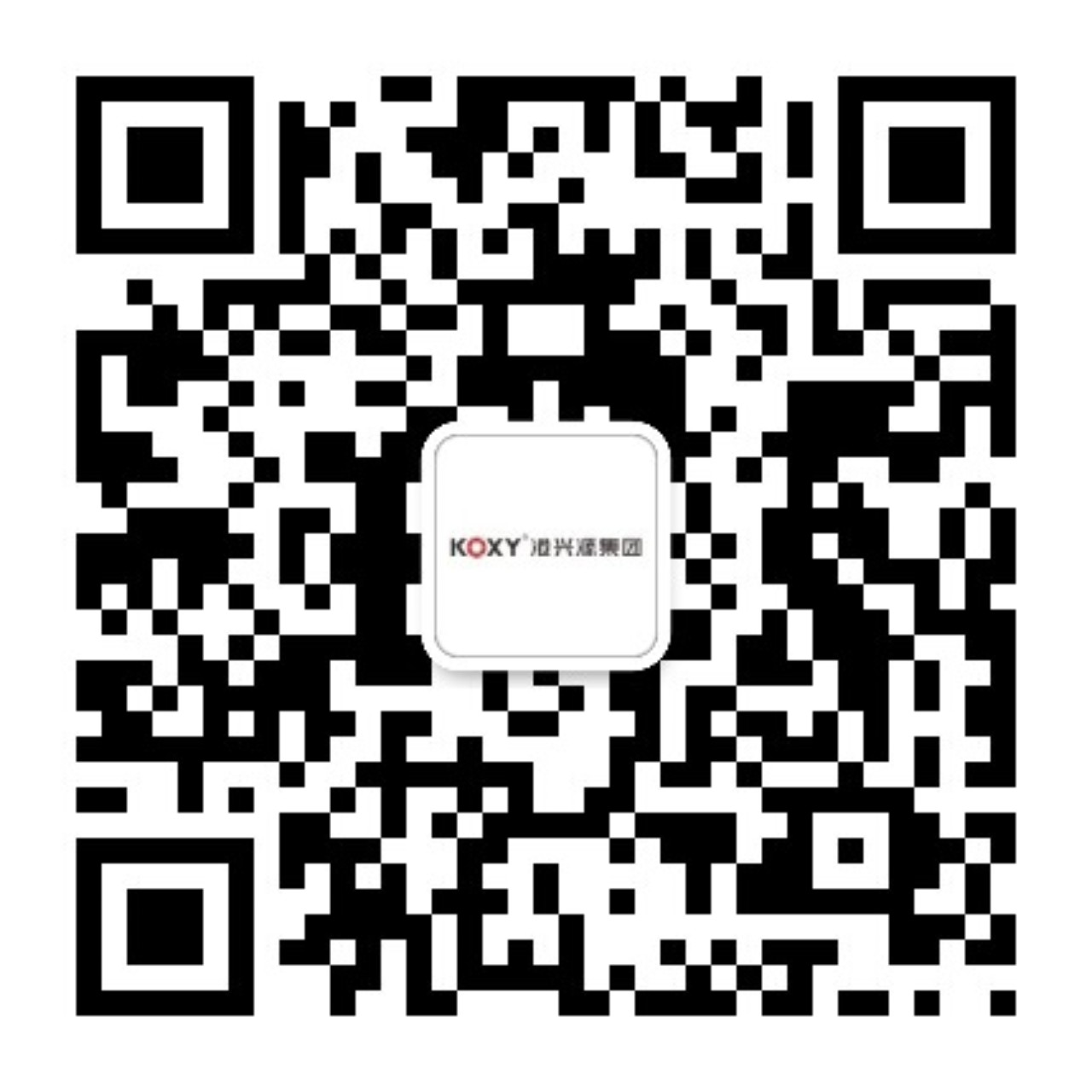 廣東(dong)港興(xing)源控(kong)股(gu)集(ji)糰(tuan)有限公(gong)司