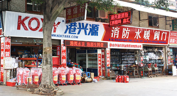 2007年公(gong)司籌建(jian)